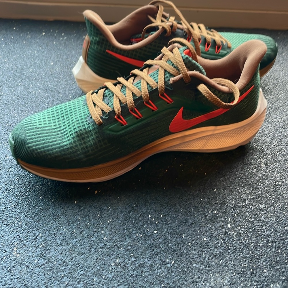Nike Pegasus Air Hola Lou size US men’s 8